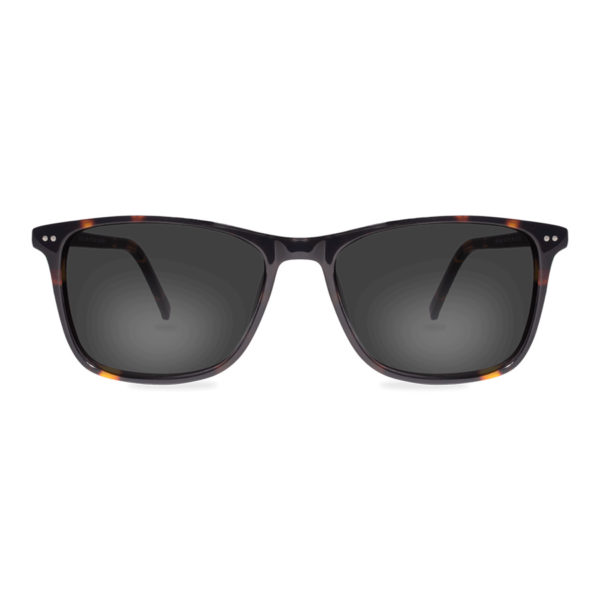 Lentes de sol para Hombres 222