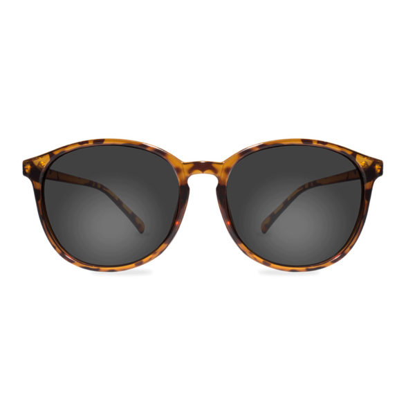 Lentes de sol para Hombres 251